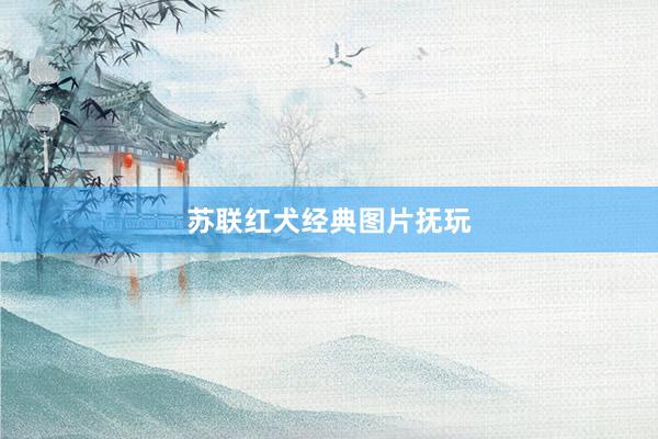 苏联红犬经典图片抚玩